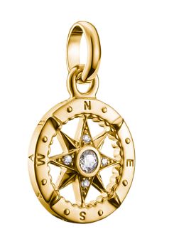 SS/YGP CZ Compass Charm