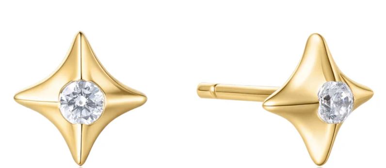 SS/YGP CZ Star Stud Ergs