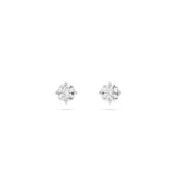 Swarovski Stilla Attract Stud Earrings - Rhodium Plated - White