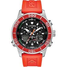 Citizen Promaster Watch