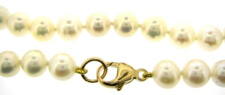 9ct Yellow Gold Freshwater Pearl Necklace