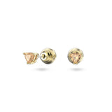 Swarovski Stilla Stud Ergs, GOS/Orange CRY Earrings