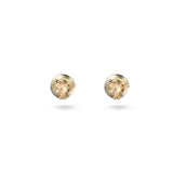Swarovski Stilla Stud Ergs, GOS/Orange CRY Earrings