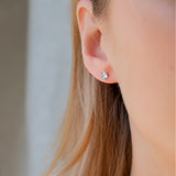 Heaven - Yellow Gold Plated Round CZ 4 Claw Stud Earrings 5mm