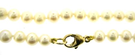 9ct Yellow Gold Freshwater Pearl Necklace