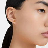 Swarovski Stilla Stud Ergs, GOS/Orange CRY Earrings