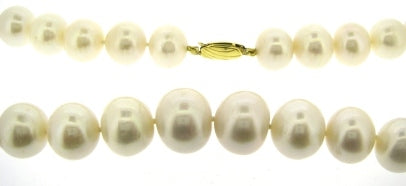 Noriko Graduated Freshwater Pearl Necklet with 9ct Yellow Gold Clasp Necklace