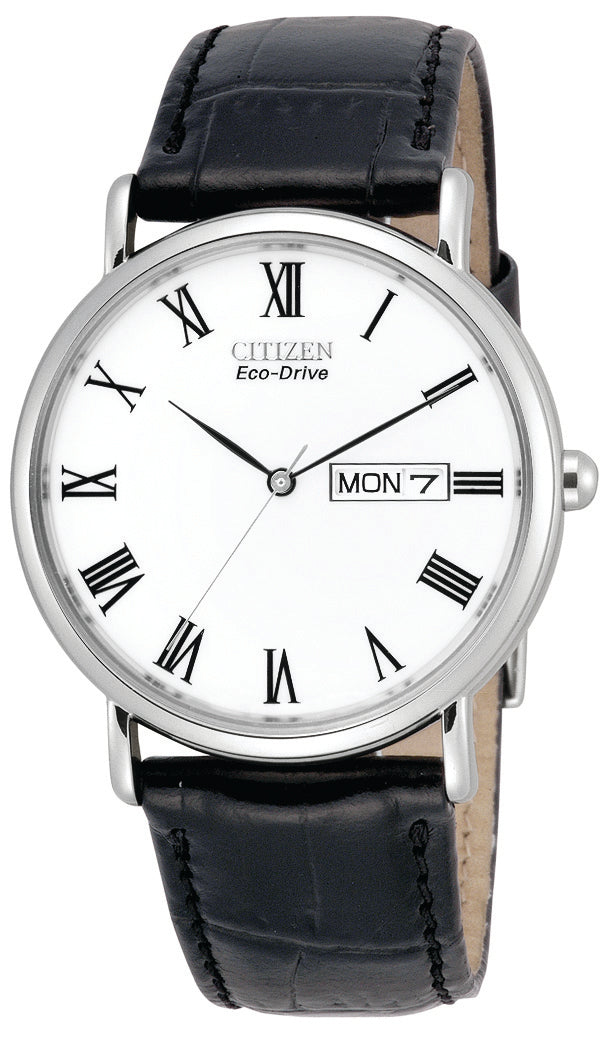Citizen Mens Eco-Drive Classic Strap Watch