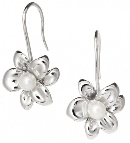 Sterling Silver Lily White Freshwater Pearl Drop Earrings