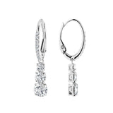 Swarovski Attract Trilogy Drop Ergs,CZWH/RHS Earrings