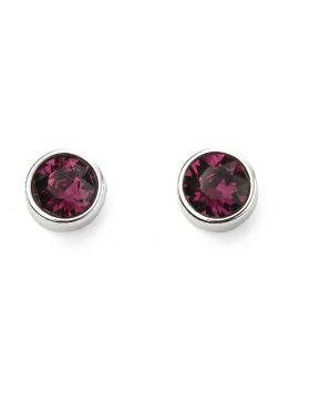 Sterling Silver February Birthstone Earrings