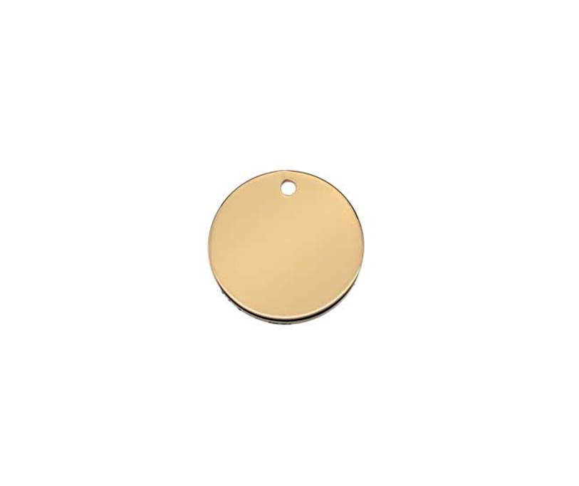 9Y 1mm x 15mm Disc (no chain)