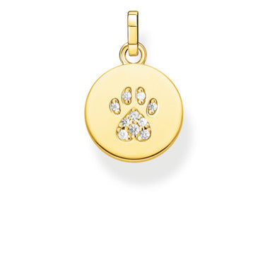 YGP CZ Cat Paw Pndt