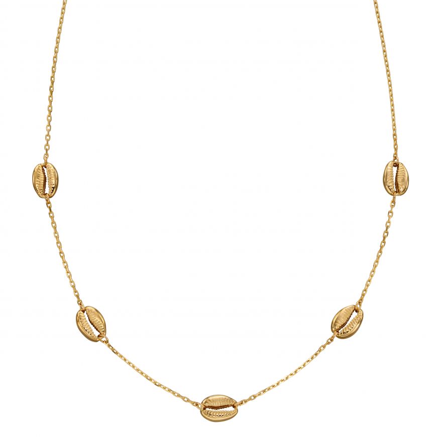 9ct Yellow Gold Cowrie Shell Pendant Necklace