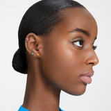 Swarovski Stilla Stud Ergs, GOS/Cush Org CRY Earrings
