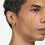 Swarovski Stilla Stud Ergs, RUS/Grey CRY Earrings