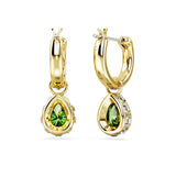 Swarovski Chroma Drop Earrings - Gold Tone-Plated - Green