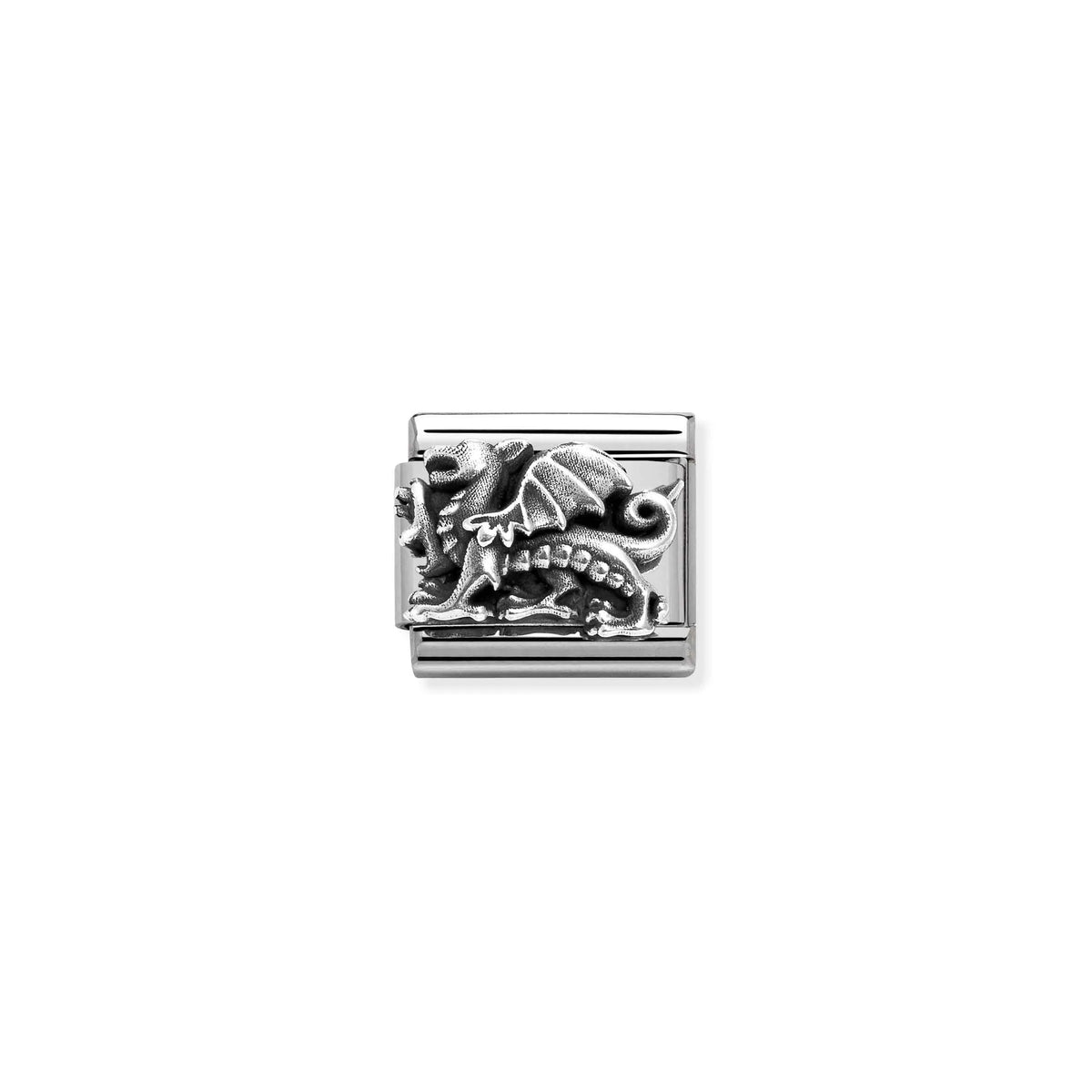 Nomination Dragon - Stainless Steel