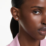 Imber Stud Ergs CRY/GOS