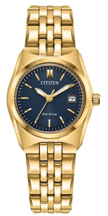 Citizen Corso Watch