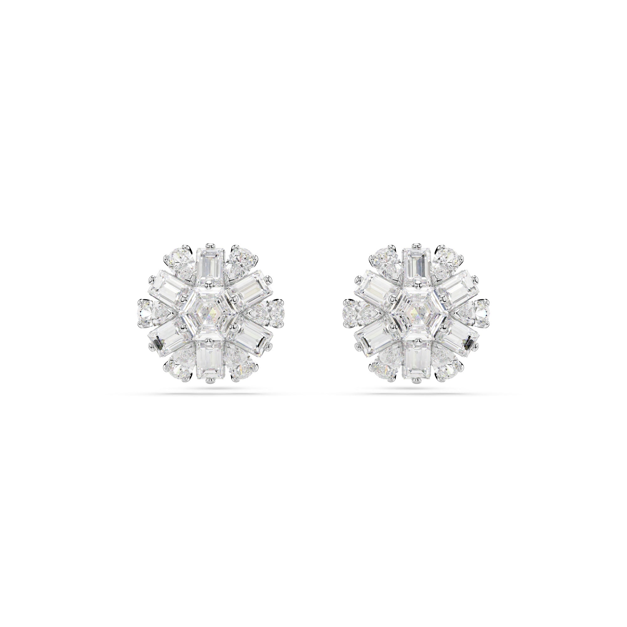 Idyllia Stud Ergs, Snowflake RHS/CRY