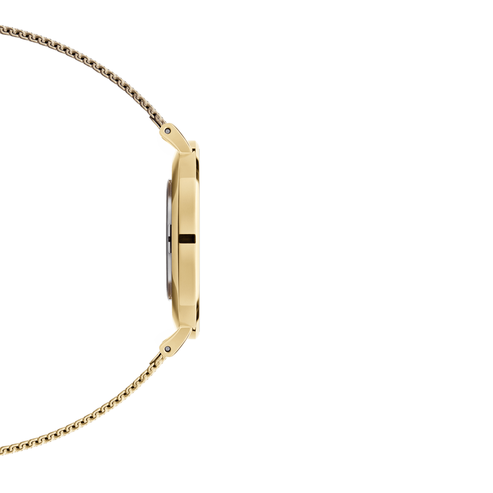 Daniel Wellington Petite Watch