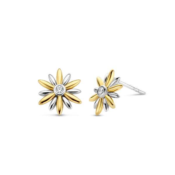 TI SENTO - Milano Earrings 7860ZY