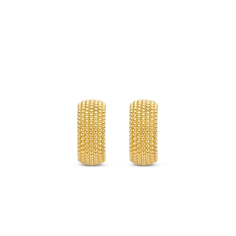 TI SENTO - Milano Earrings 7895SY