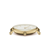 Daniel Wellington Gold Petite Evergold 28mm watch