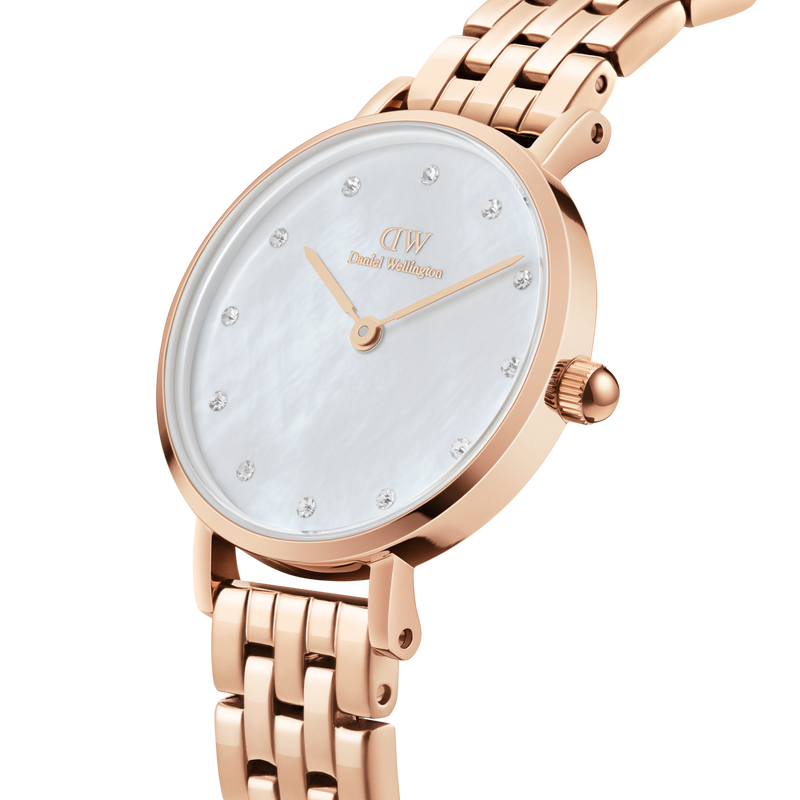 Daniel Wellington Rose Gold Petite 5-Link 28mm watch