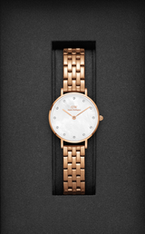 Daniel Wellington Rose Gold Petite 5-Link 28mm watch