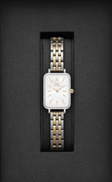 Daniel Wellington Gold and Silver Quadro 5-Link Bezel 20X26mm watch