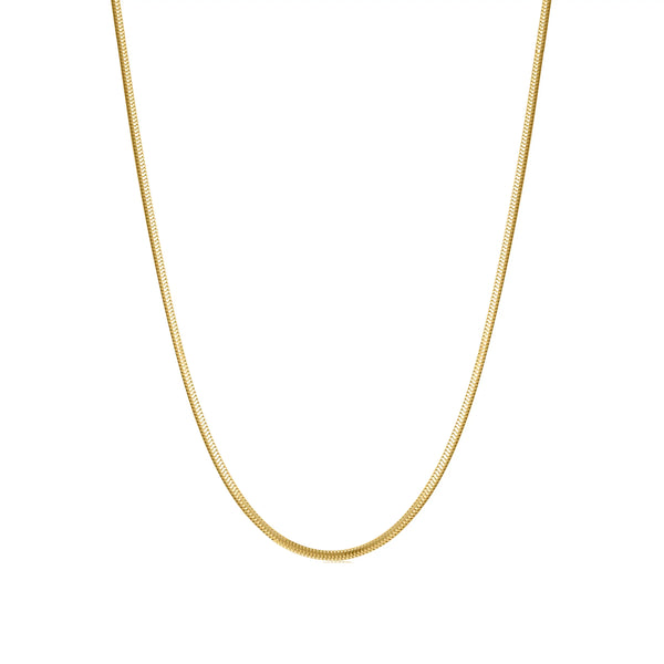 Ania Haie Shiny Gold Snake Chain Necklace