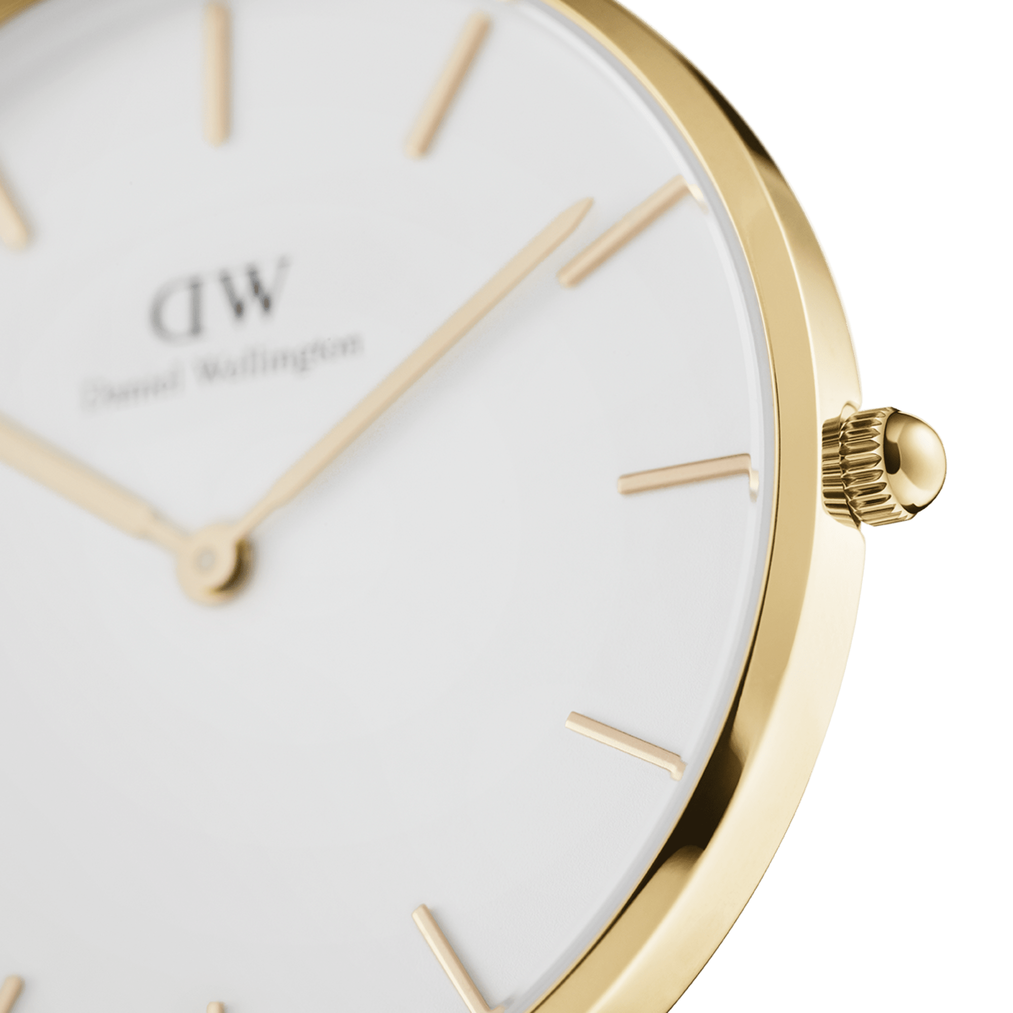 Daniel Wellington Petite Watch