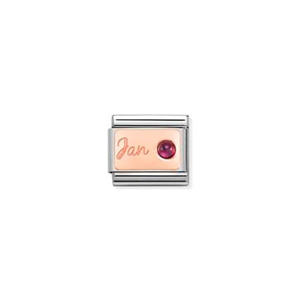 Composable Classic Stone Of Month in S, Steel and 9K Rose Gold - January Garnet