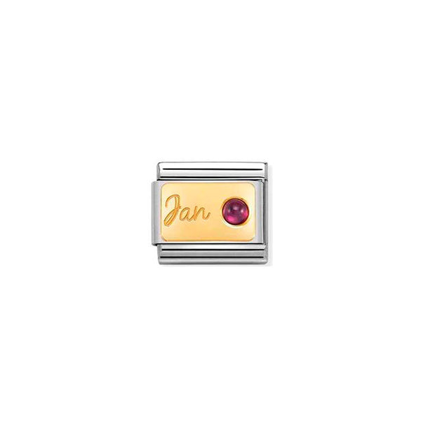 Composable Classic Month Stone in Steel, Stones and Bonded Yellow Gold - January Garnet