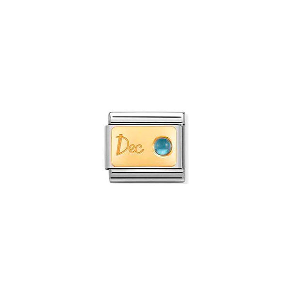 Composable Classic Month Stone in Steel, Stones and Bonded Yellow Gold - December Light Blue Topaz
